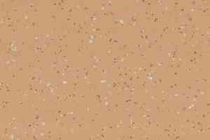 Линолеум Taralay Premium Compact Indiana 8262 RODRIGUES фото  | FLOORDEALER